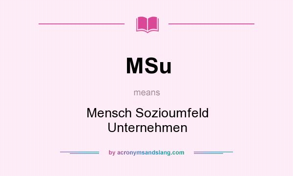 What does MSu mean? It stands for Mensch Sozioumfeld Unternehmen