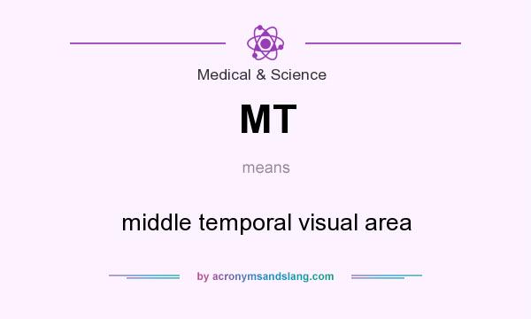 What does MT mean? It stands for middle temporal visual area