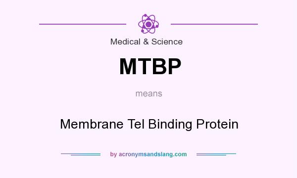 What does MTBP mean? It stands for Membrane Tel Binding Protein