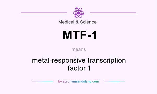 What does MTF-1 mean? It stands for metal-responsive transcription factor 1