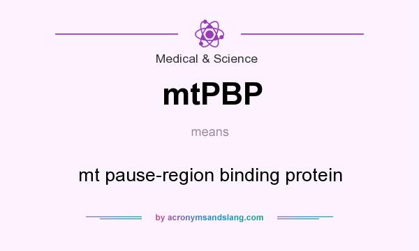 What does mtPBP mean? It stands for mt pause-region binding protein