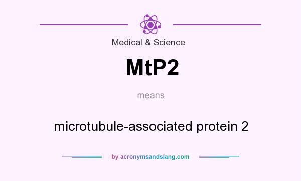 What does MtP2 mean? It stands for microtubule-associated protein 2