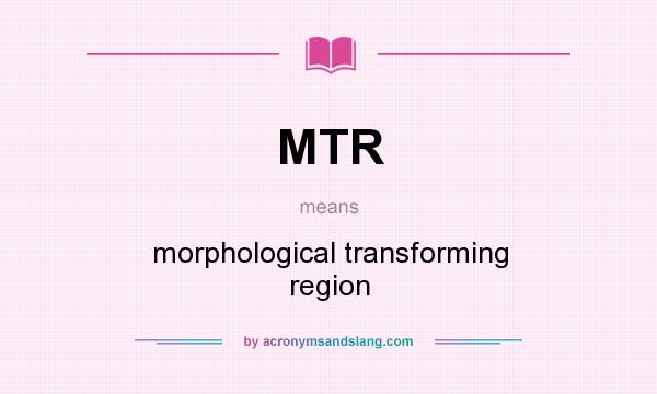What does MTR mean? It stands for morphological transforming region