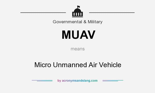 What does MUAV mean? It stands for Micro Unmanned Air Vehicle