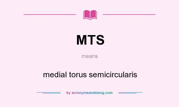 What does MTS mean? It stands for medial torus semicircularis