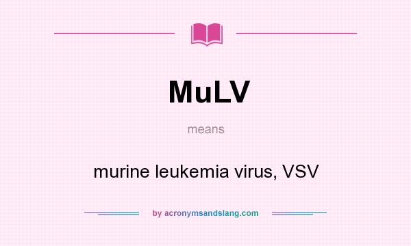 What does MuLV mean? It stands for murine leukemia virus, VSV