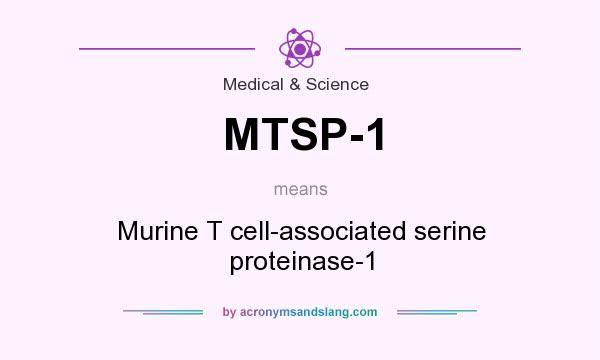 What does MTSP-1 mean? It stands for Murine T cell-associated serine proteinase-1