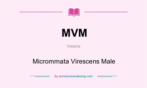 What does MVM mean? It stands for Micrommata Virescens Male