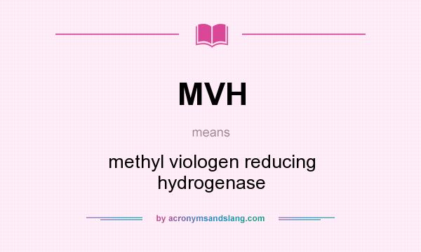 What does MVH mean? It stands for methyl viologen reducing hydrogenase