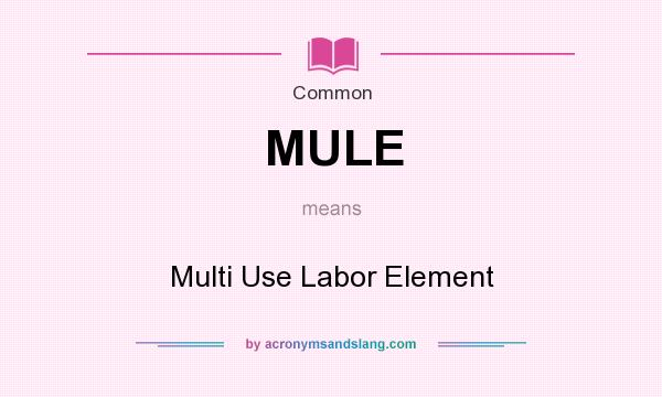 What does MULE mean? It stands for Multi Use Labor Element