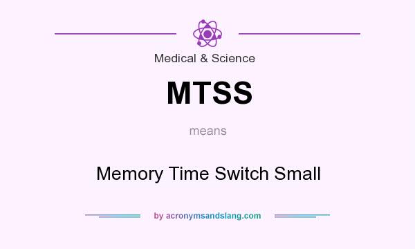 What does MTSS mean? It stands for Memory Time Switch Small