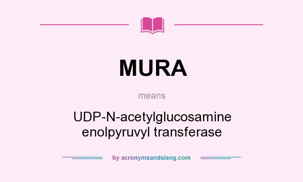 What does MURA mean? It stands for UDP-N-acetylglucosamine enolpyruvyl transferase