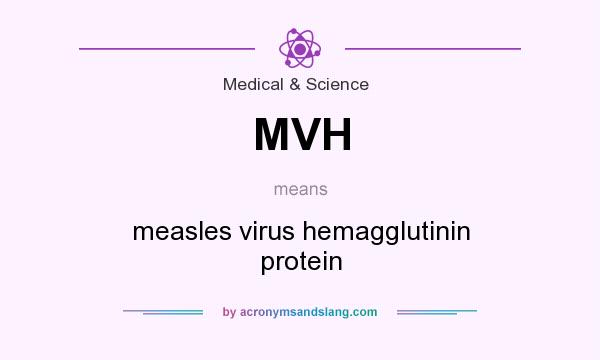 What does MVH mean? It stands for measles virus hemagglutinin protein