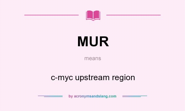 What does MUR mean? It stands for c-myc upstream region