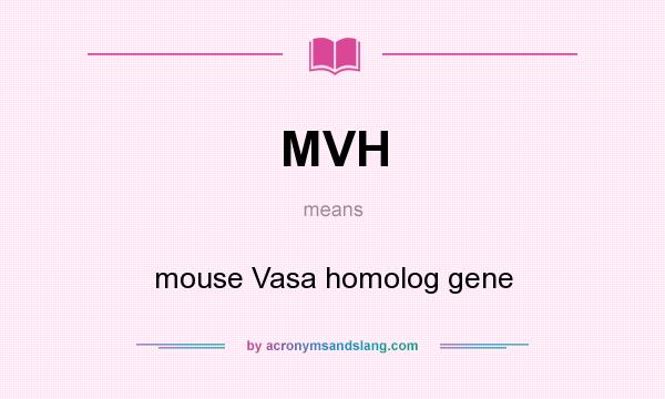 What does MVH mean? It stands for mouse Vasa homolog gene