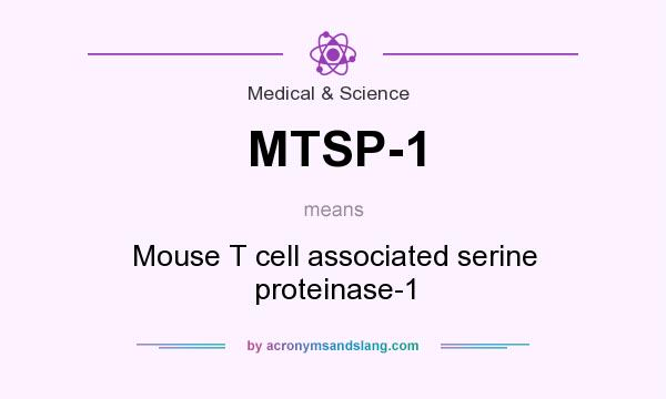 What does MTSP-1 mean? It stands for Mouse T cell associated serine proteinase-1