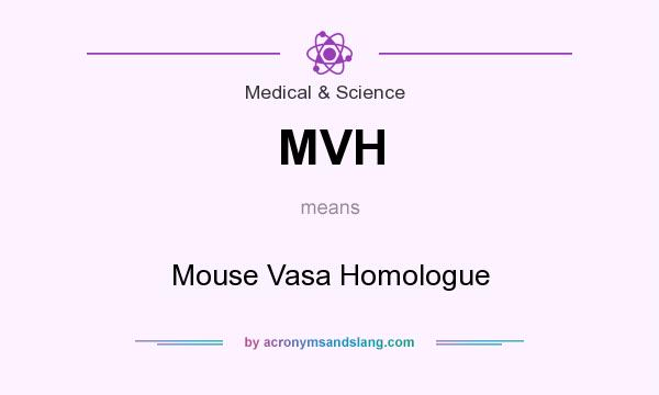 What does MVH mean? It stands for Mouse Vasa Homologue
