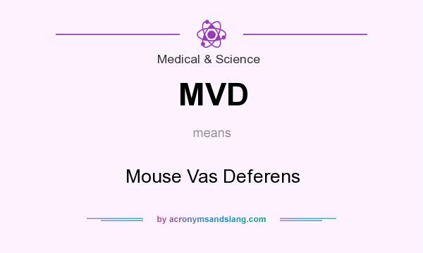 What does MVD mean? It stands for Mouse Vas Deferens