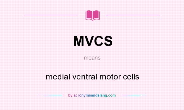 What does MVCS mean? It stands for medial ventral motor cells