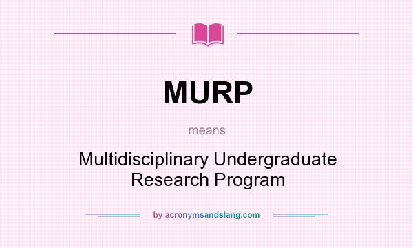 What does MURP mean? It stands for Multidisciplinary Undergraduate Research Program