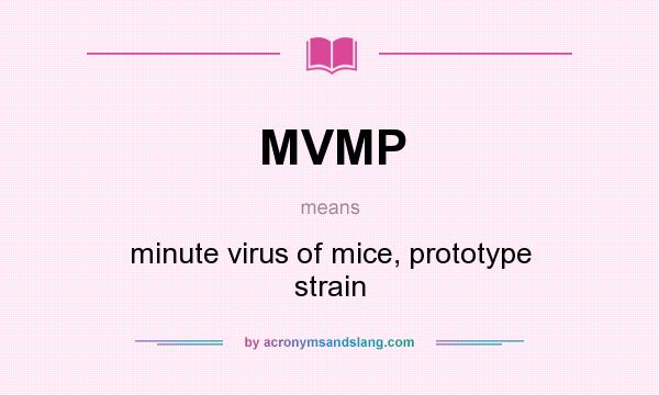 What does MVMP mean? It stands for minute virus of mice, prototype strain