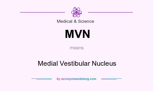 What does MVN mean? It stands for Medial Vestibular Nucleus
