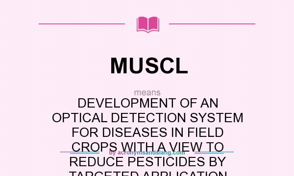What does MUSCL mean? It stands for DEVELOPMENT OF AN OPTICAL DETECTION SYSTEM FOR DISEASES IN FIELD CROPS WITH A VIEW TO REDUCE PESTICIDES BY TARGETED APPLICATION