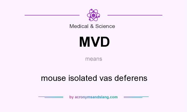 What does MVD mean? It stands for mouse isolated vas deferens