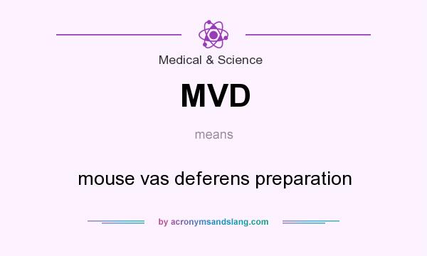 What does MVD mean? It stands for mouse vas deferens preparation