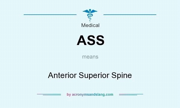 What does ASS mean? It stands for Anterior Superior Spine