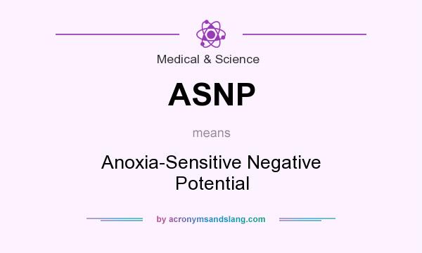 What does ASNP mean? It stands for Anoxia-Sensitive Negative Potential