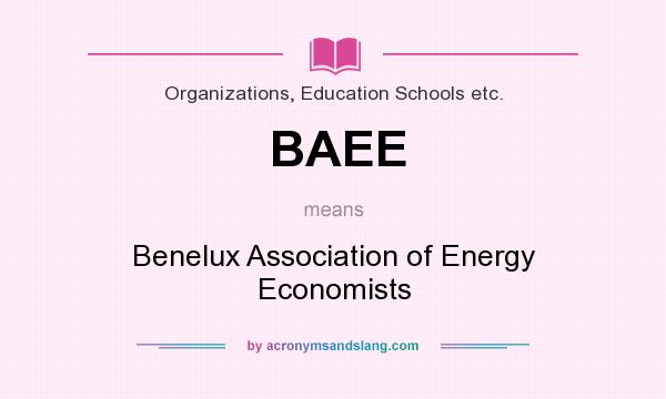 What does BAEE mean? It stands for Benelux Association of Energy Economists