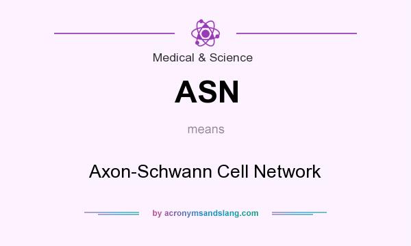 What does ASN mean? It stands for Axon-Schwann Cell Network