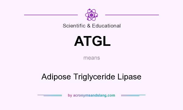 What does ATGL mean? It stands for Adipose Triglyceride Lipase