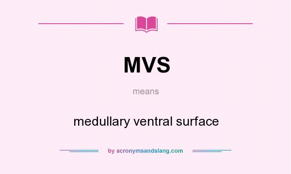 What does MVS mean? It stands for medullary ventral surface