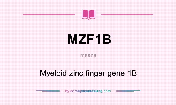 What does MZF1B mean? It stands for Myeloid zinc finger gene-1B
