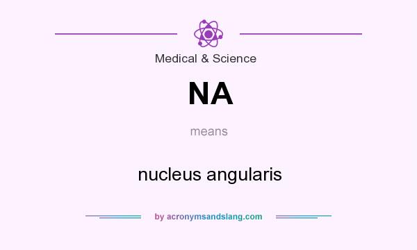 What does NA mean? It stands for nucleus angularis