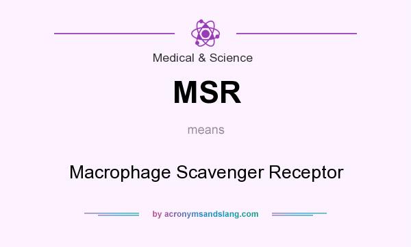 What does MSR mean? It stands for Macrophage Scavenger Receptor