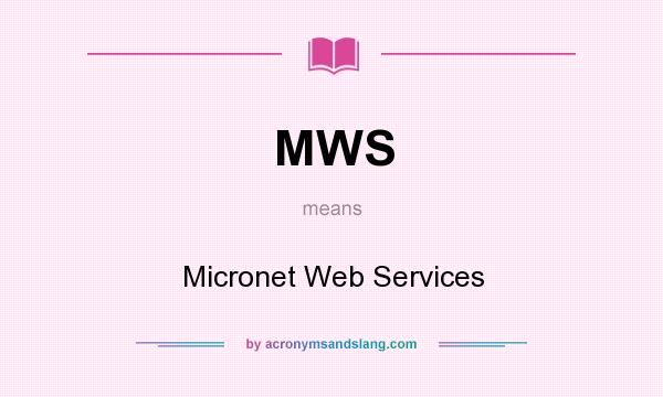 What does MWS mean? It stands for Micronet Web Services