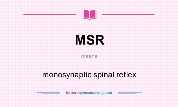 What does MSR mean? It stands for monosynaptic spinal reflex