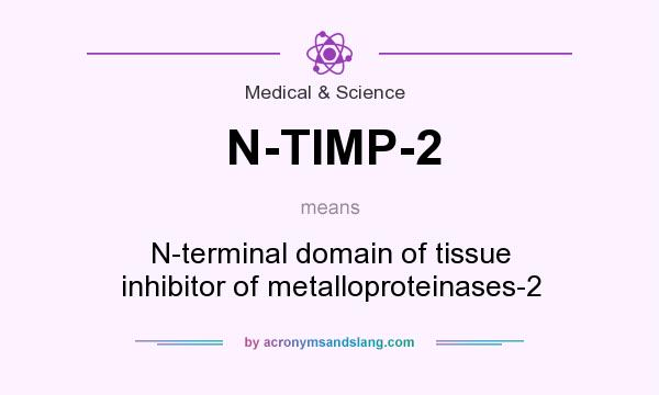 What does N-TIMP-2 mean? It stands for N-terminal domain of tissue inhibitor of metalloproteinases-2