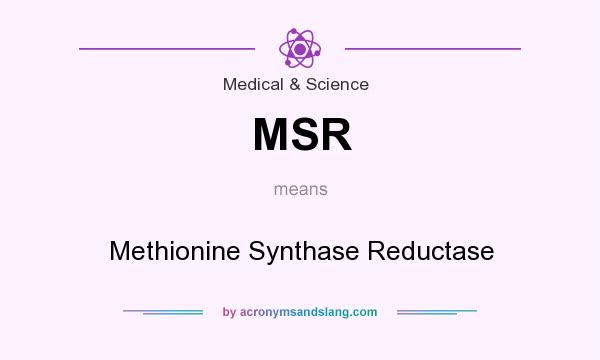 What does MSR mean? It stands for Methionine Synthase Reductase
