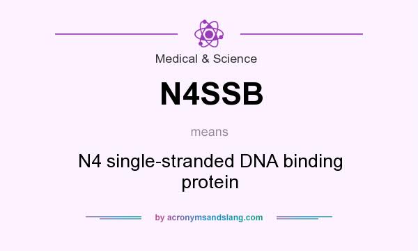What does N4SSB mean? It stands for N4 single-stranded DNA binding protein