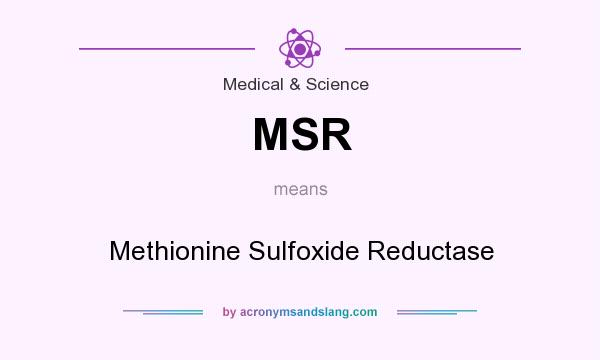What does MSR mean? It stands for Methionine Sulfoxide Reductase