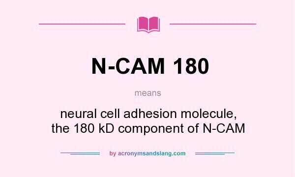 What does N-CAM 180 mean? It stands for neural cell adhesion molecule, the 180 kD component of N-CAM