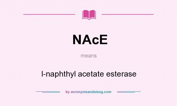 What does NAcE mean? It stands for l-naphthyl acetate esterase