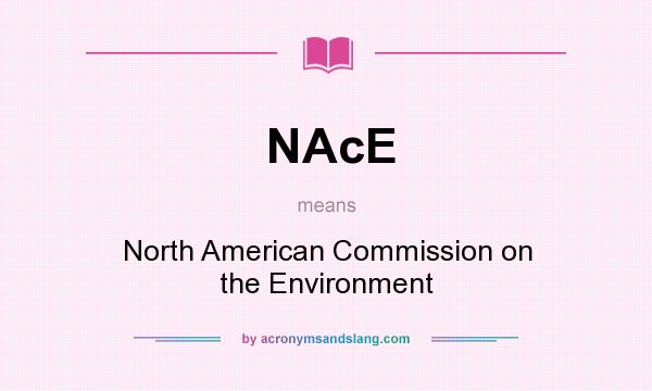 What does NAcE mean? It stands for North American Commission on the Environment