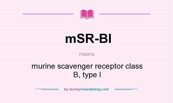 What does mSR-BI mean? It stands for murine scavenger receptor class B, type I