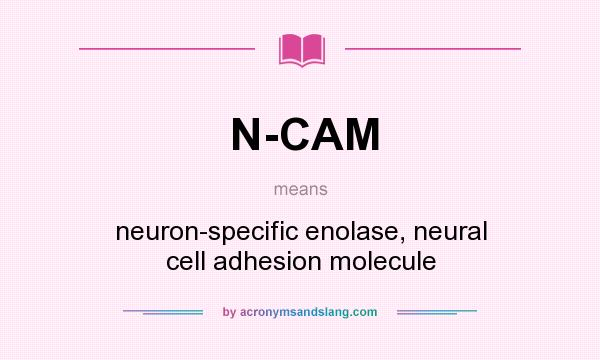 What does N-CAM mean? It stands for neuron-specific enolase, neural cell adhesion molecule