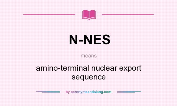 What does N-NES mean? It stands for amino-terminal nuclear export sequence